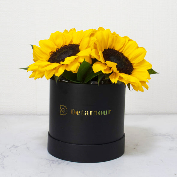 Hat box - 4 Girasoles