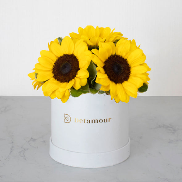 Hat box - 6 Girasoles