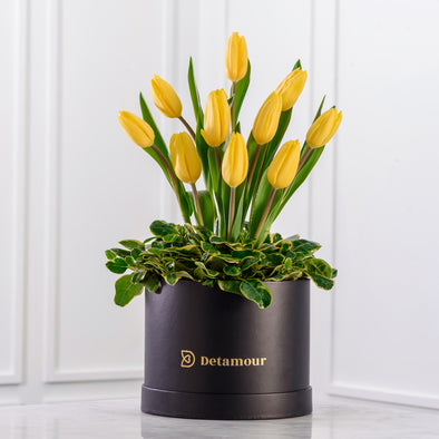 Hat box - 10 tulipanes & follaje