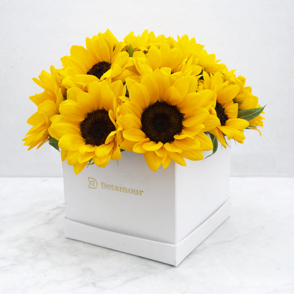 Petit box - Girasoles